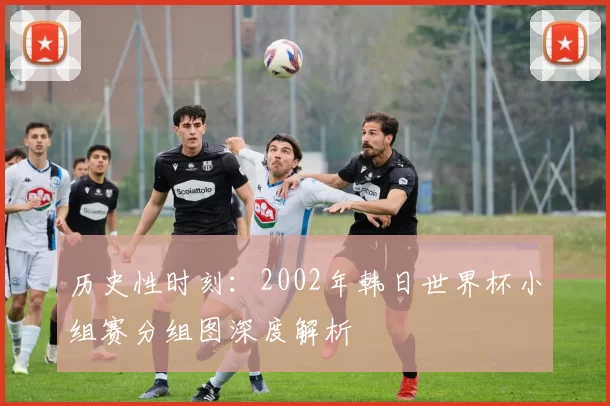 历史性时刻：2002年韩日世界杯小组赛分组图深度解析