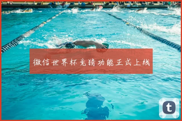 微信世界杯竞猜功能正式上线