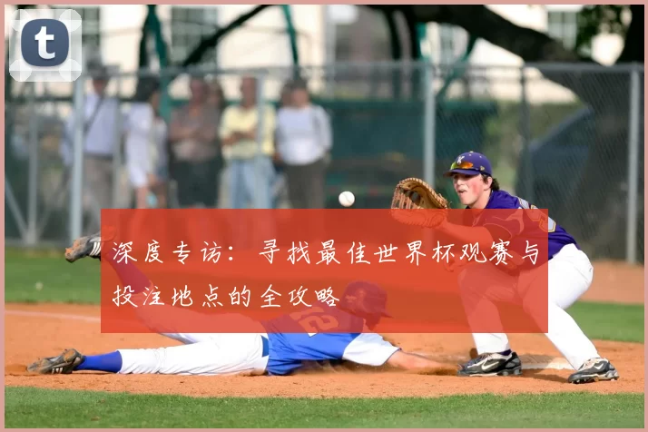 深度专访:寻找最佳世界杯观赛与投注地点的全攻略
