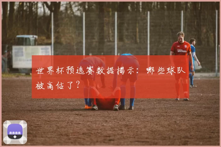 世界杯预选赛数据揭示:哪些球队被高估了?