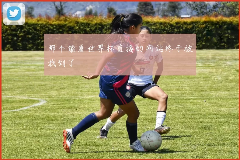 那个能看世界杯直播的网站终于被找到了