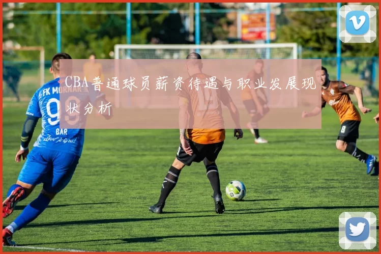 CBA普通球员薪资待遇与职业发展现状分析