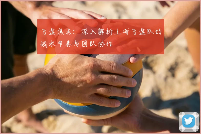 飞盘焦点:深入解析上海飞盘队的战术节奏与团队协作
