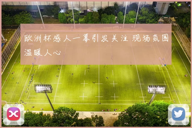 欧洲杯感人一幕引发关注 现场氛围温暖人心