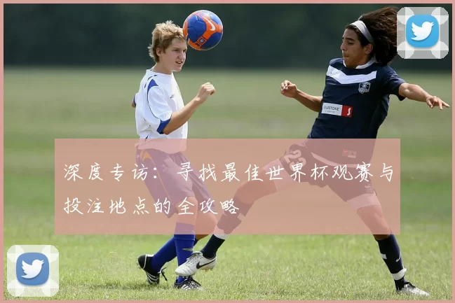深度专访:寻找最佳世界杯观赛与投注地点的全攻略