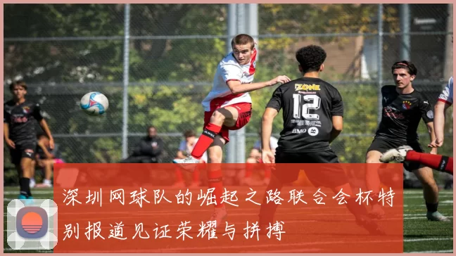深圳网球队的崛起之路联合会杯特别报道见证荣耀与拼搏