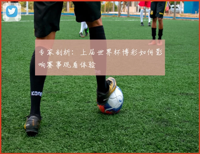 专家剖析:上届世界杯博彩如何影响赛事观看体验