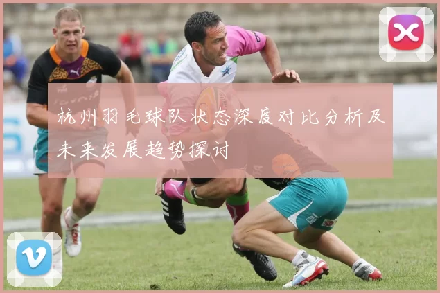 杭州羽毛球队状态深度对比分析及未来发展趋势探讨