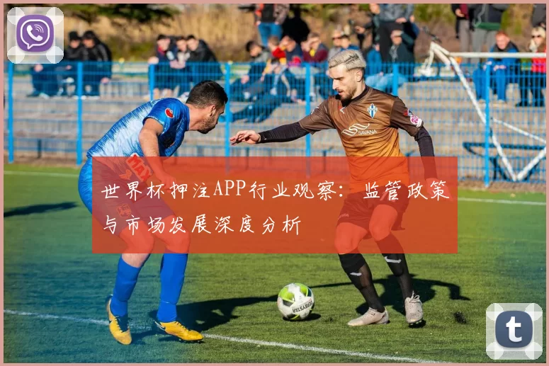 世界杯押注APP行业观察：监管政策与市场发展深度分析