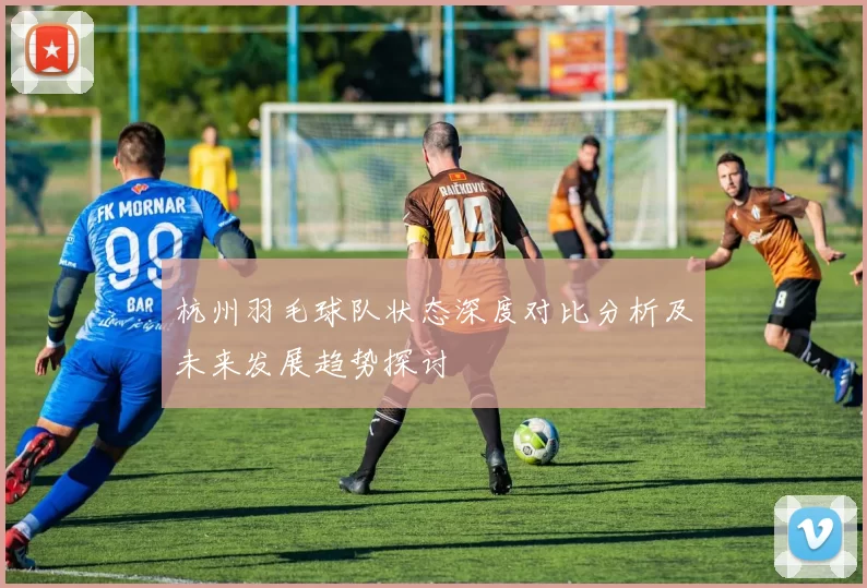 杭州羽毛球队状态深度对比分析及未来发展趋势探讨