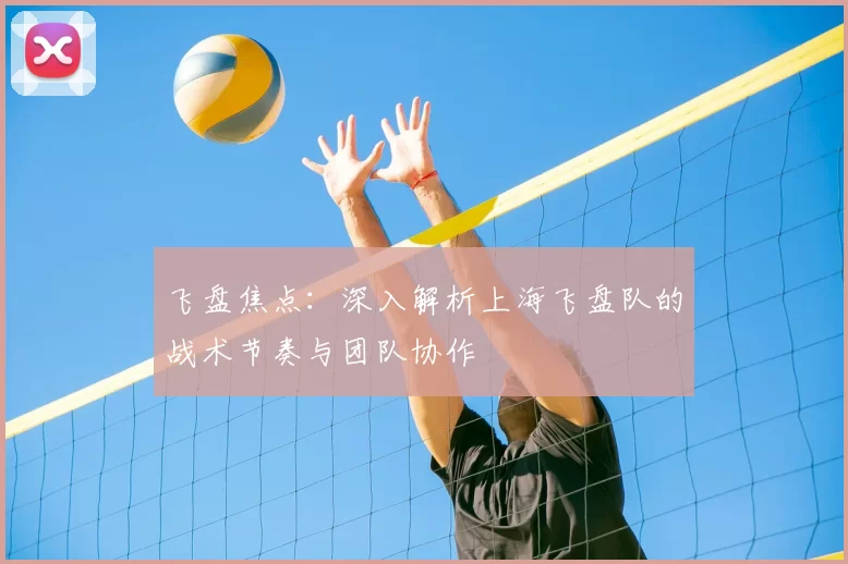 飞盘焦点:深入解析上海飞盘队的战术节奏与团队协作