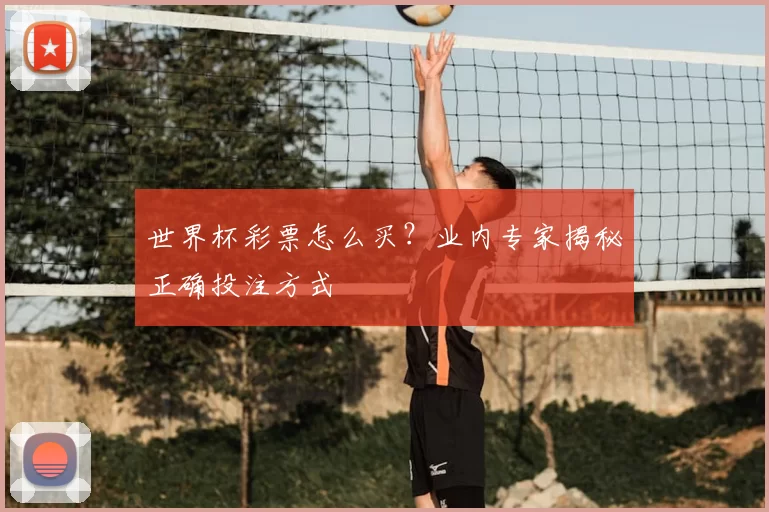世界杯彩票怎么买？业内专家揭秘正确投注方式